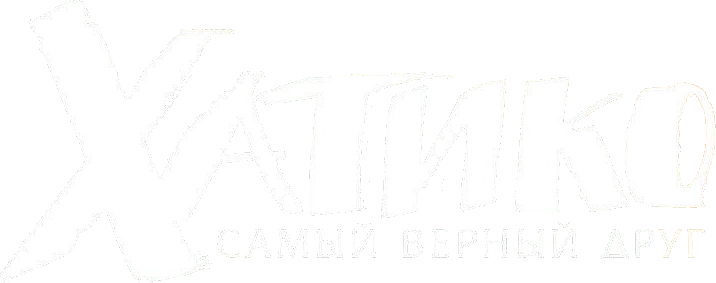 Хатико: Самый верный друг logo